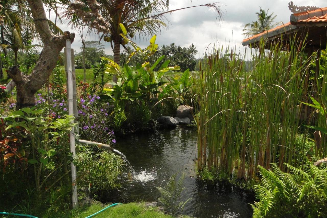 Hotel Bali Sawah Indah Ubud Exterior foto
