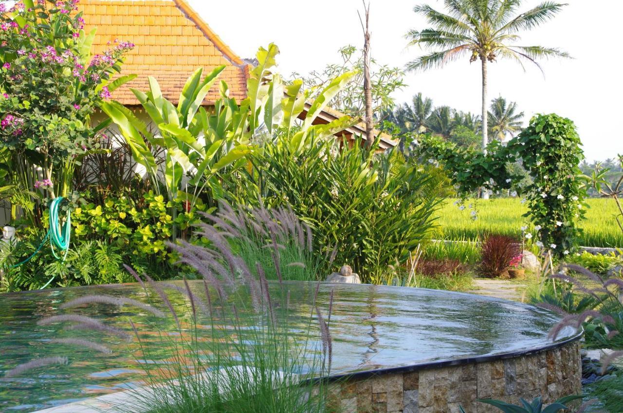 Hotel Bali Sawah Indah Ubud Exterior foto